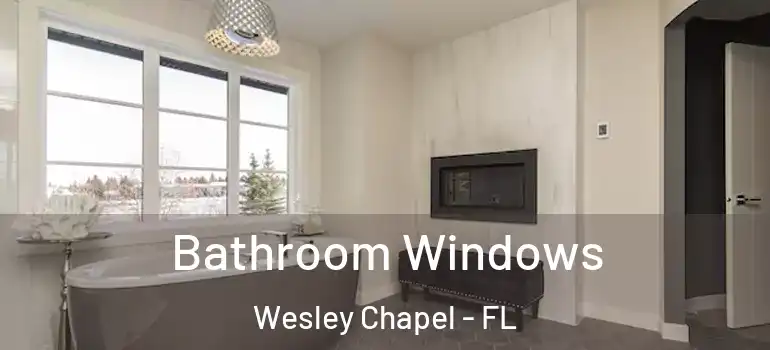 Bathroom Windows Wesley Chapel - FL