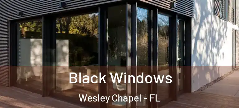 Black Windows Wesley Chapel - FL