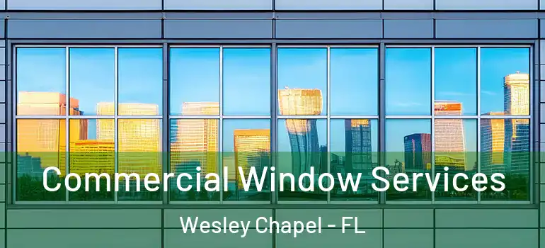 Commercial Window Services Wesley Chapel - FL
