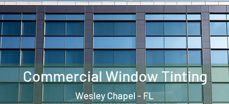 Commercial Window Tinting Wesley Chapel - FL