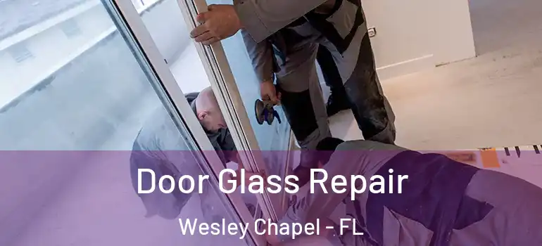 Door Glass Repair Wesley Chapel - FL
