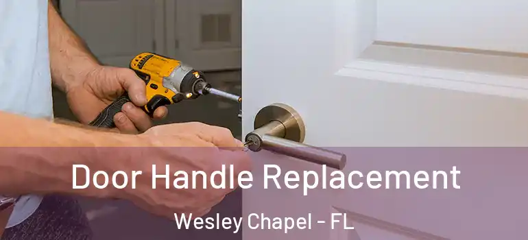 Door Handle Replacement Wesley Chapel - FL