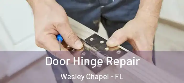 Door Hinge Repair Wesley Chapel - FL