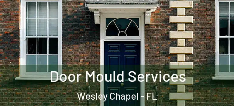 Door Mould Services Wesley Chapel - FL