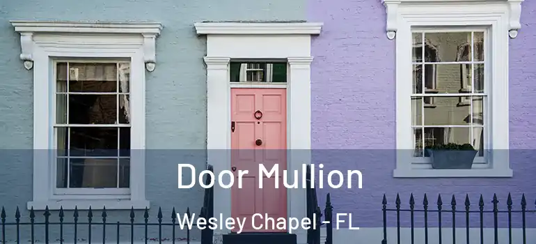 Door Mullion Wesley Chapel - FL