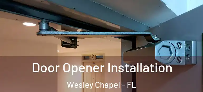 Door Opener Installation Wesley Chapel - FL