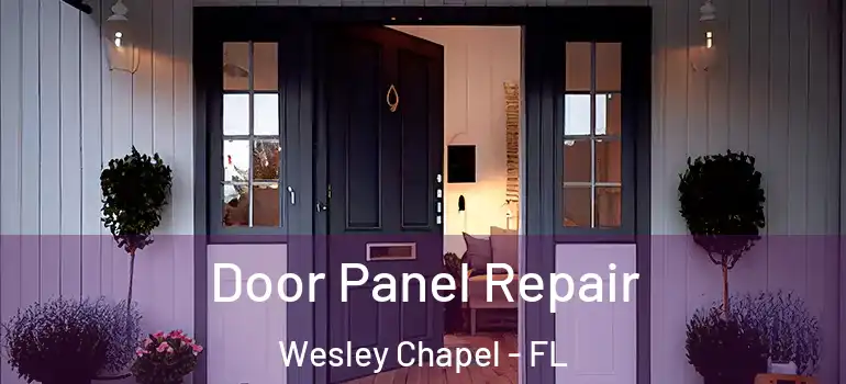 Door Panel Repair Wesley Chapel - FL