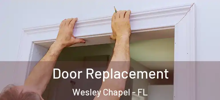 Door Replacement Wesley Chapel - FL