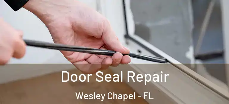 Door Seal Repair Wesley Chapel - FL
