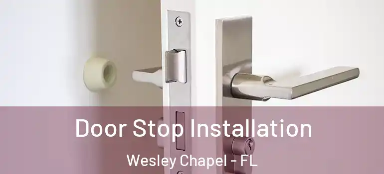 Door Stop Installation Wesley Chapel - FL