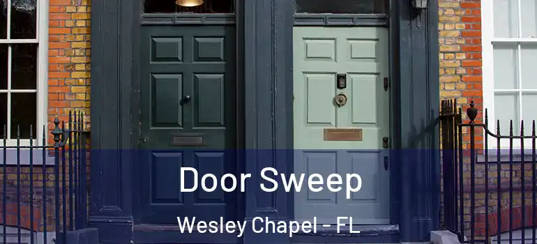 Door Sweep Wesley Chapel - FL