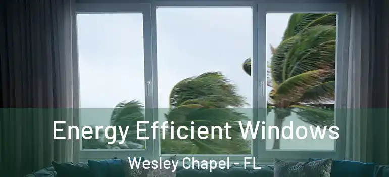 Energy Efficient Windows Wesley Chapel - FL