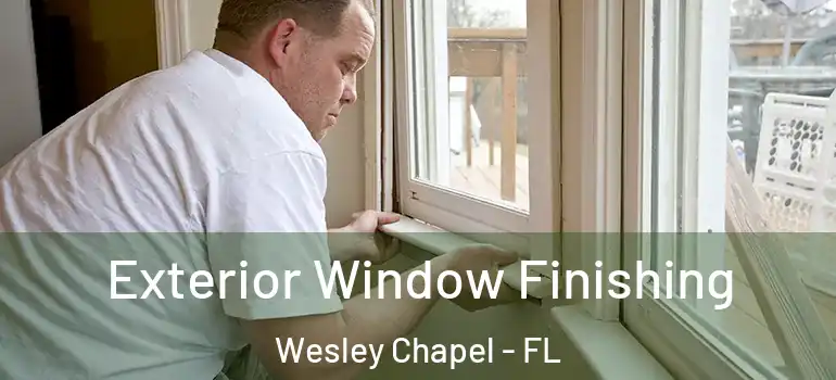 Exterior Window Finishing Wesley Chapel - FL