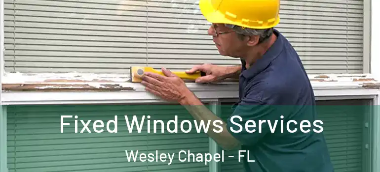 Fixed Windows Services Wesley Chapel - FL