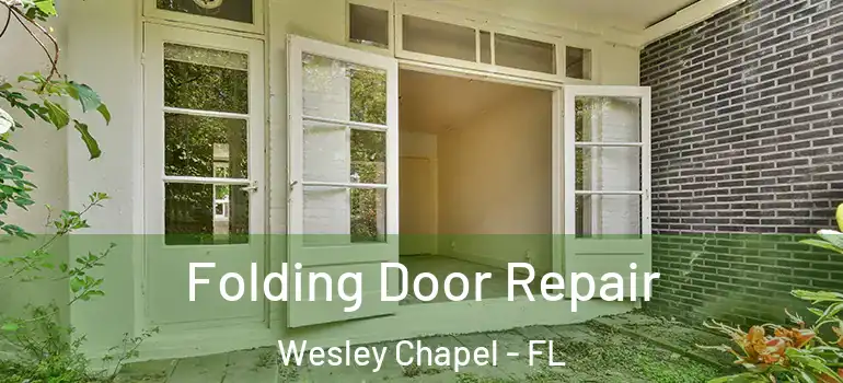Folding Door Repair Wesley Chapel - FL
