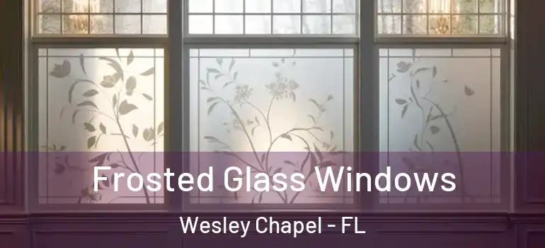 Frosted Glass Windows Wesley Chapel - FL