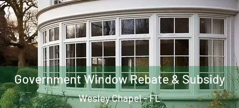 Government Window Rebate & Subsidy Wesley Chapel - FL