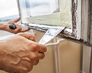 Professional Door and Windows Installation in Wesley Chapel, FL