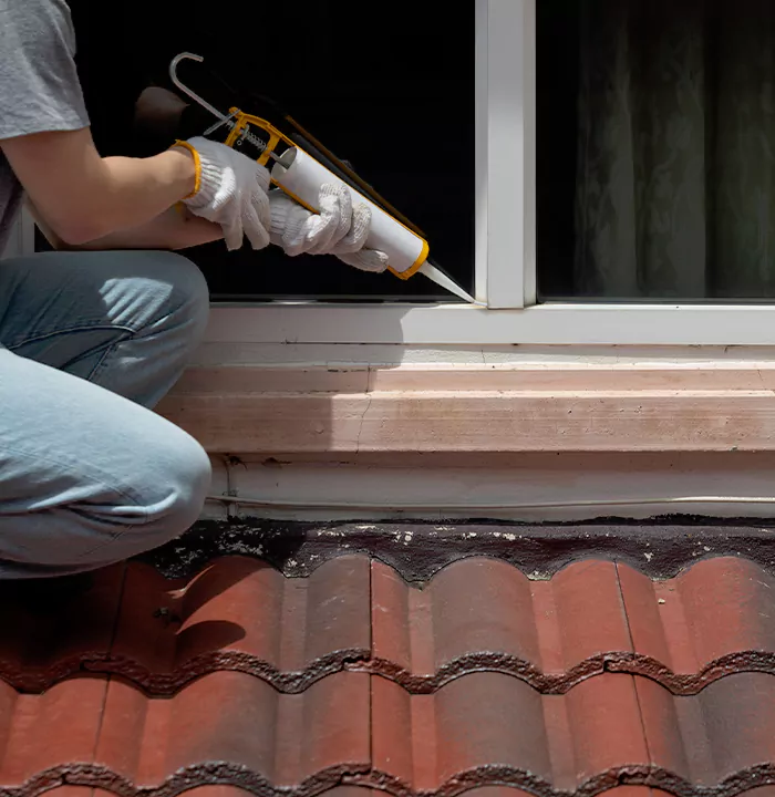 Roof Window Services in Wesley Chapel, Florida