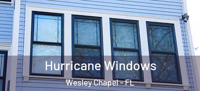 Hurricane Windows Wesley Chapel - FL