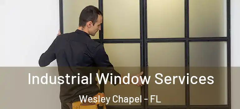 Industrial Window Services Wesley Chapel - FL