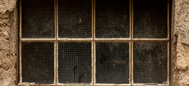Traditional Double Front Doors in Wesley Chapel, FL