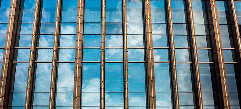 Professional Window Tinting Services in Wesley Chapel, FL