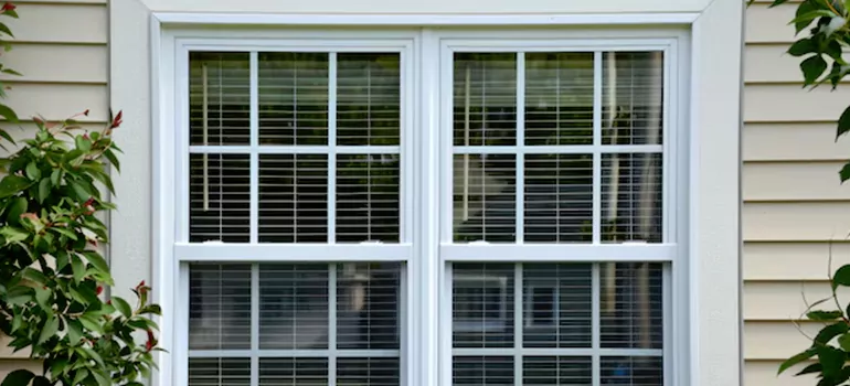 Custom Double Hung Windows in Wesley Chapel, FL