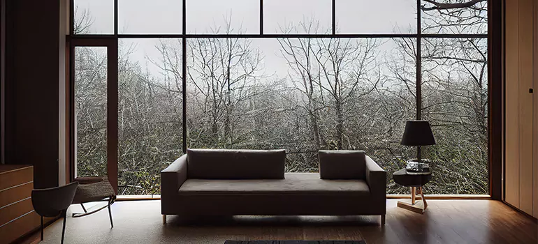 Casement Picture Window in Wesley Chapel, FL