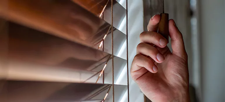 Double Roller Blinds in Wesley Chapel, FL