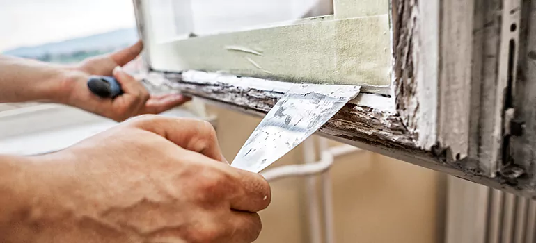 Exterior Window Frame Repair in Wesley Chapel, FL