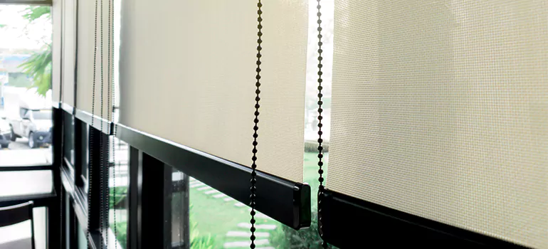 Blackout Window Shades in Wesley Chapel, FL