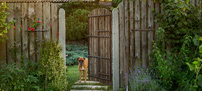 Winter Garden Garage Door Repair in Wesley Chapel,[location field=state]