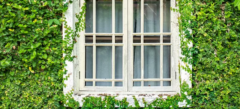 Garden Window Repair Near Me in Wesley Chapel, FL