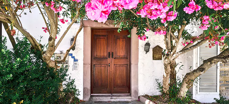 Traditional 4 Panel Internal Doors in Wesley Chapel, FL