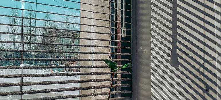Commercial Window Blinds in Wesley Chapel, FL