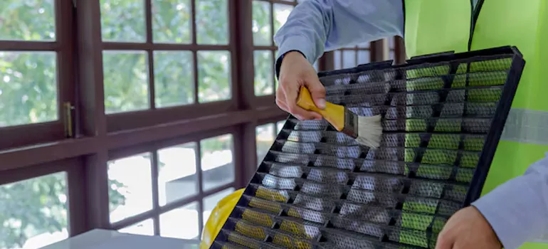 Traditional Window Grille Installation Options in Wesley Chapel, FL