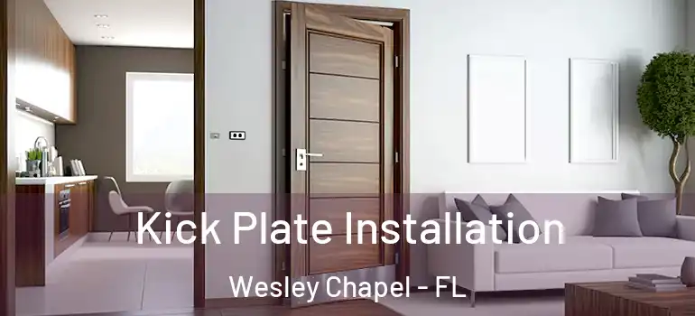 Kick Plate Installation Wesley Chapel - FL