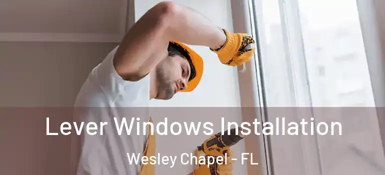 Lever Windows Installation Wesley Chapel - FL