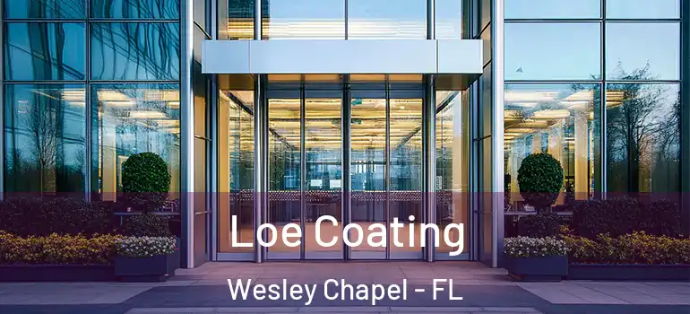 Loe Coating Wesley Chapel - FL