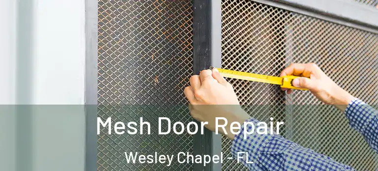 Mesh Door Repair Wesley Chapel - FL