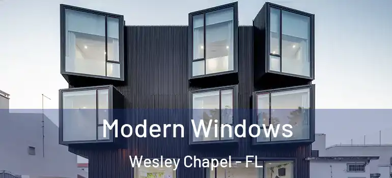 Modern Windows Wesley Chapel - FL