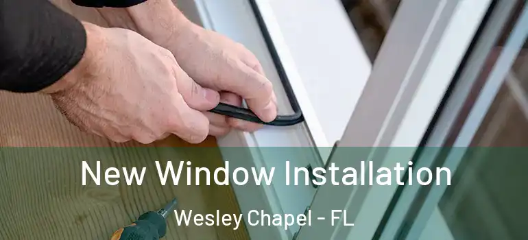 New Window Installation Wesley Chapel - FL