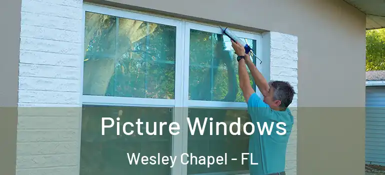 Picture Windows Wesley Chapel - FL