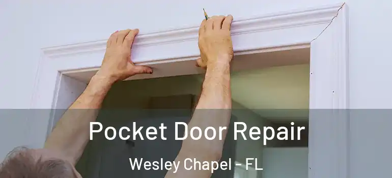Pocket Door Repair Wesley Chapel - FL