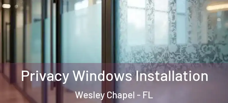 Privacy Windows Installation Wesley Chapel - FL