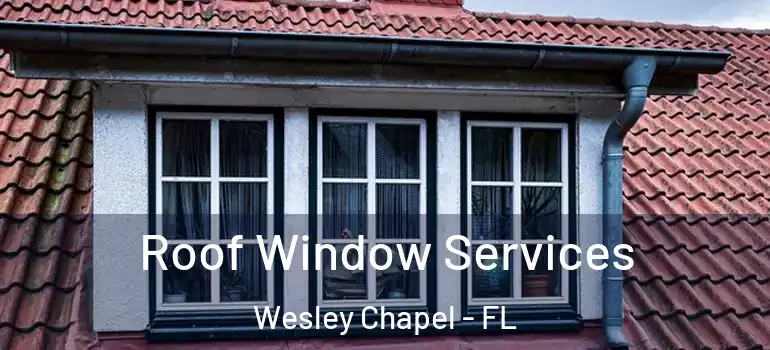 Roof Window Services Wesley Chapel - FL