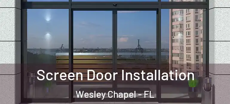 Screen Door Installation Wesley Chapel - FL