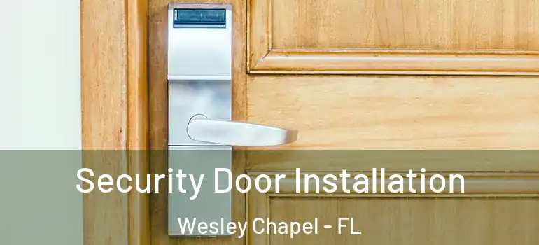 Security Door Installation Wesley Chapel - FL
