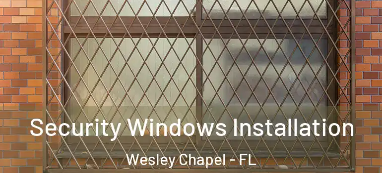 Security Windows Installation Wesley Chapel - FL